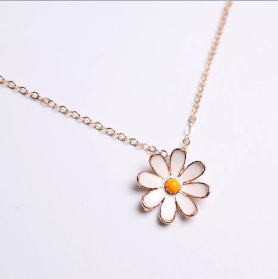 44427203051737|44427203084505